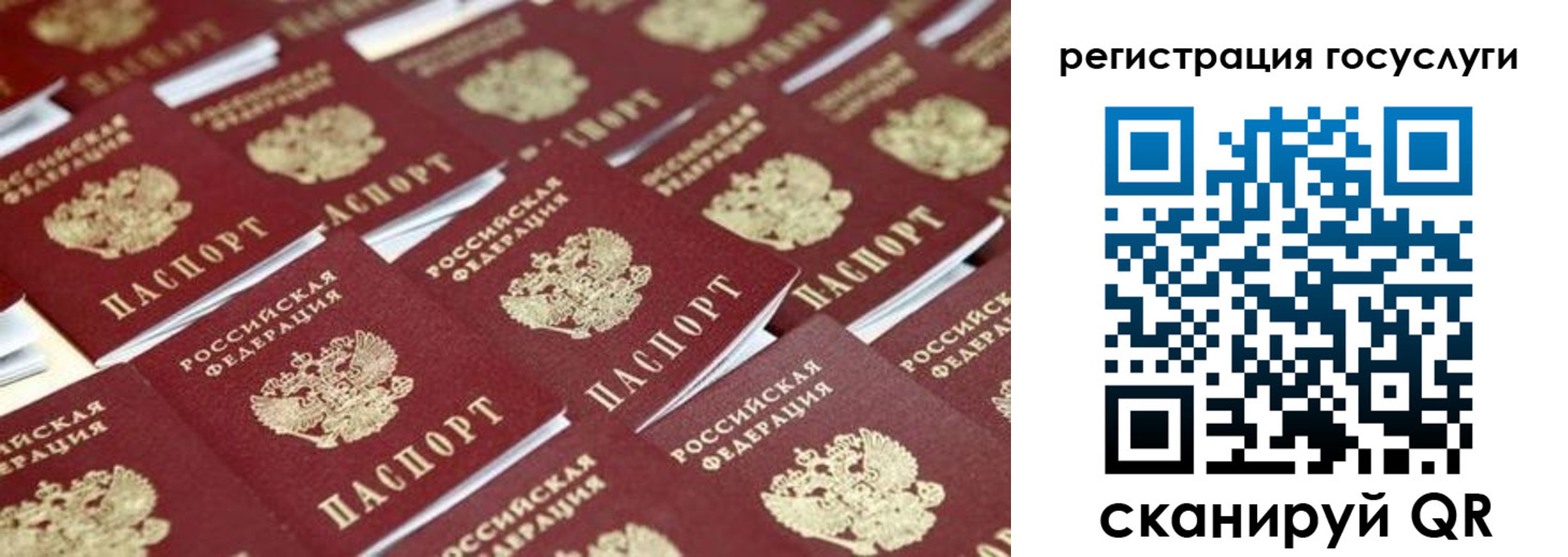 прописка ребенка в Ясногорске
